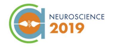 SFN 2019 logo