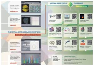 The Virtual Brain: Delivering practical results. For novel clinical ...