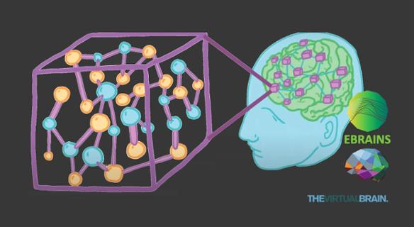 Connectome Illustration