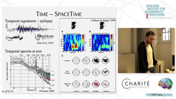 VIDEO: Neural Masses as Source Models for EEG and MEG