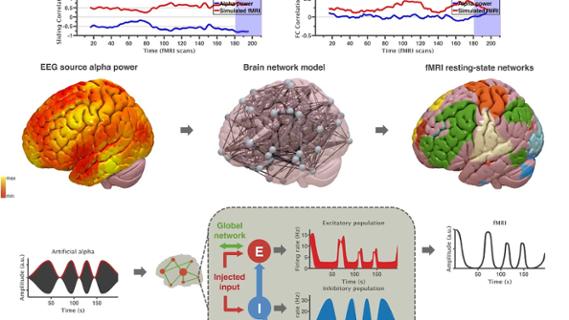 VIDEO: Inferring multi-scale neural mechanisms with brain network modelling