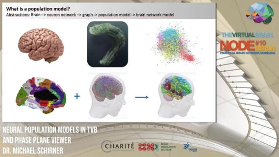 VIDEO: Population Models in The Virtual Brain (TVB) and the Phase Plane