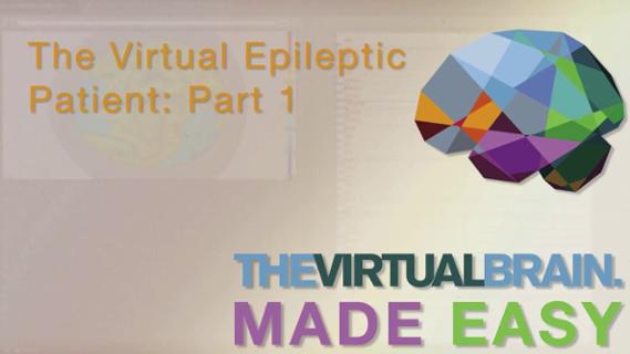 VIDEO: The Virtual Epileptic Patient: Part 1