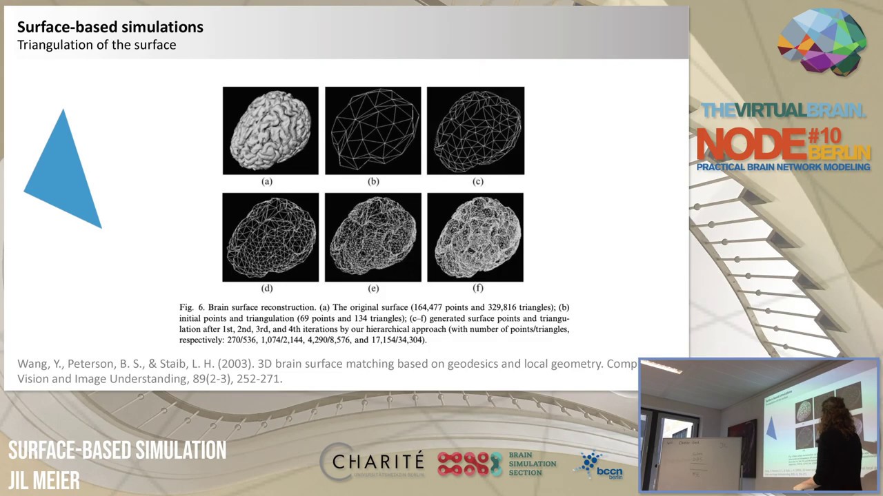 VIDEO: Surface-based simulations and deep brain stimulations