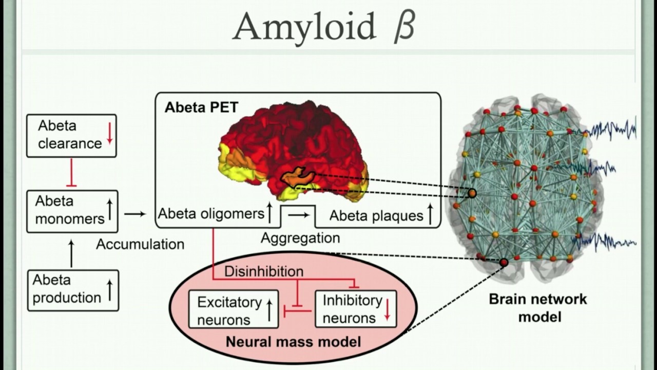 VIDEO: Linking molecular pathways and large-scale computational modeling to assess candidate disease mechanisms and pharmacodynamics in Alzheimer’s disease