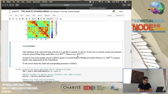 VIDEO: Simulating The Virtual Mouse Brain (TVMB)