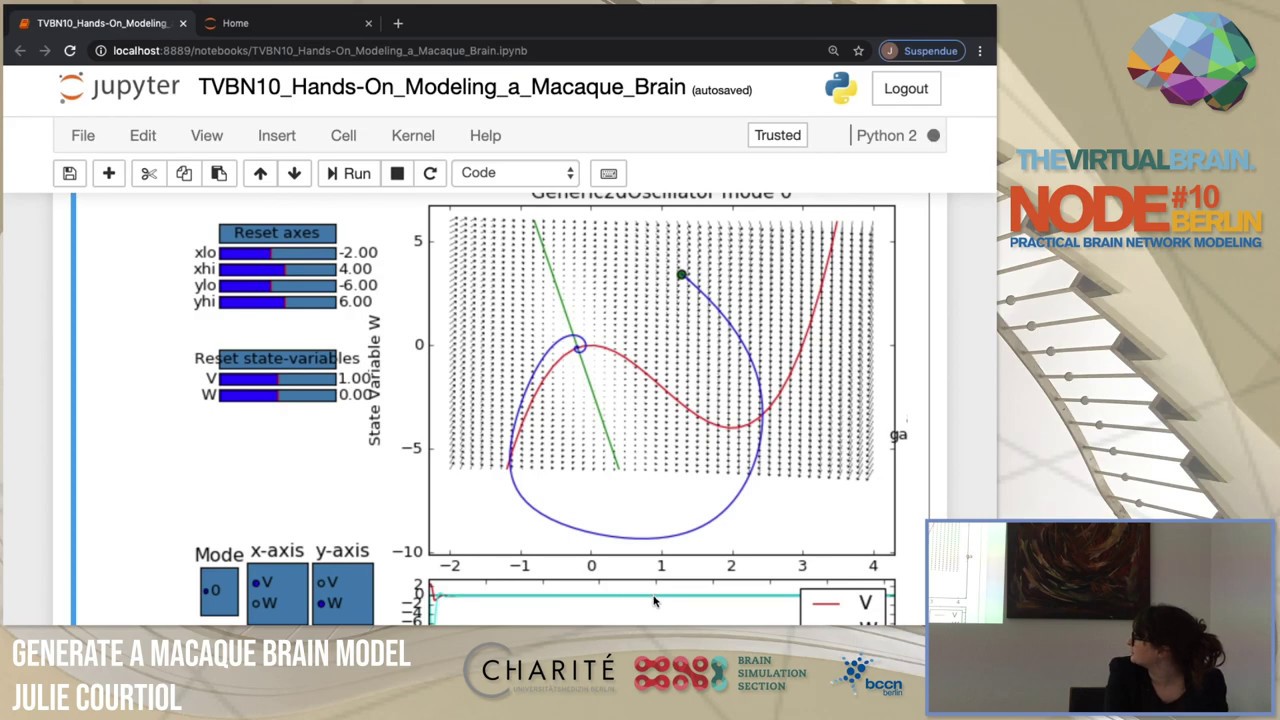 VIDEO: Modeling a virtual macaque brain