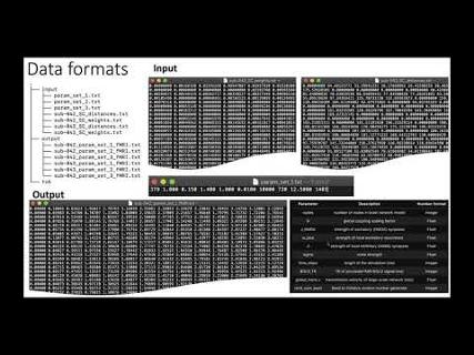 VIDEO: Fast TVB for HPC on EBRAINS