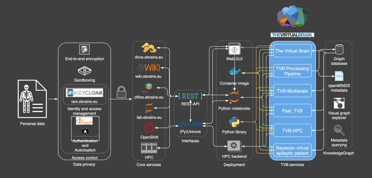 Brain Modeling Service image